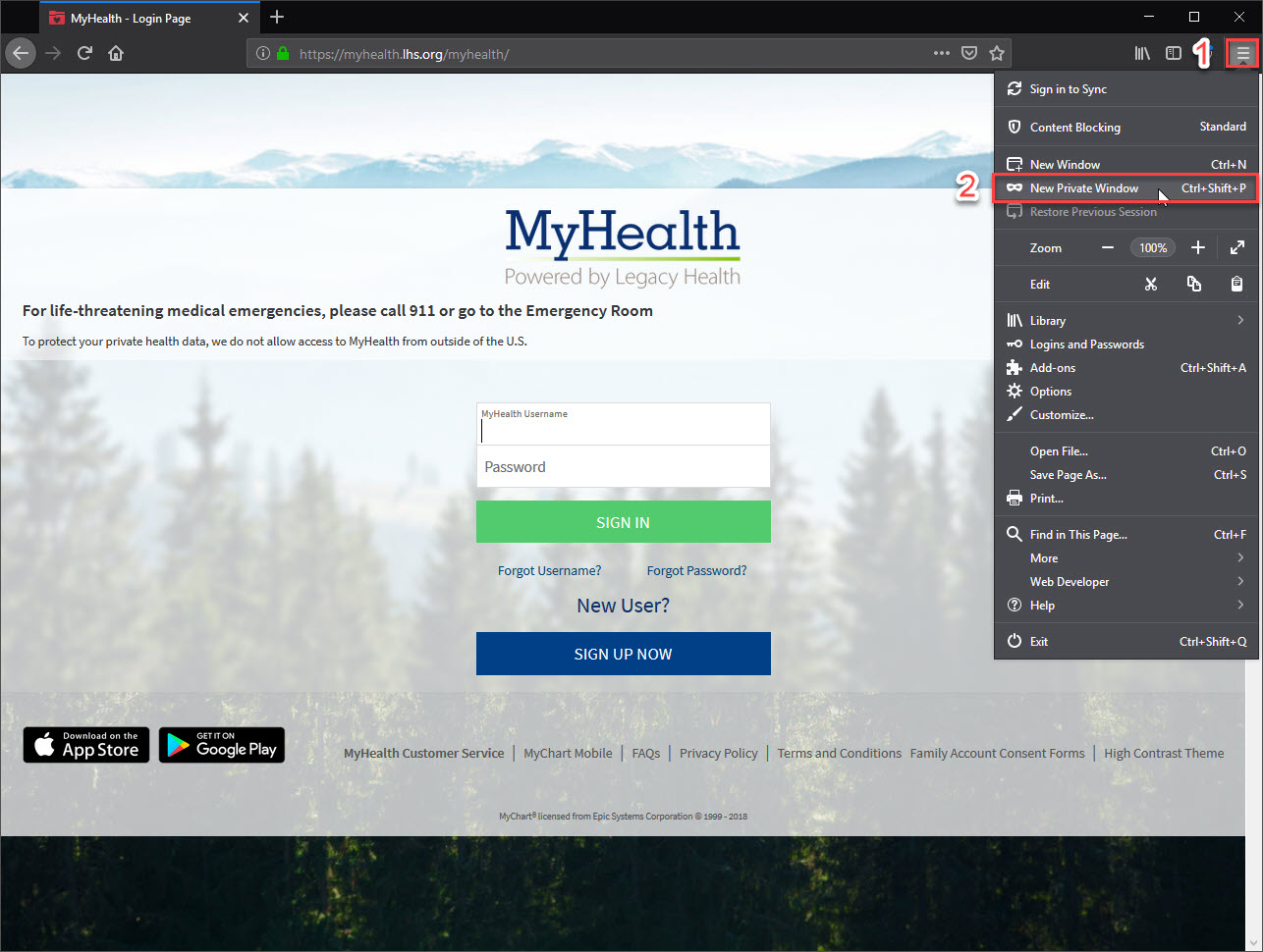 Manage Add-ons Window